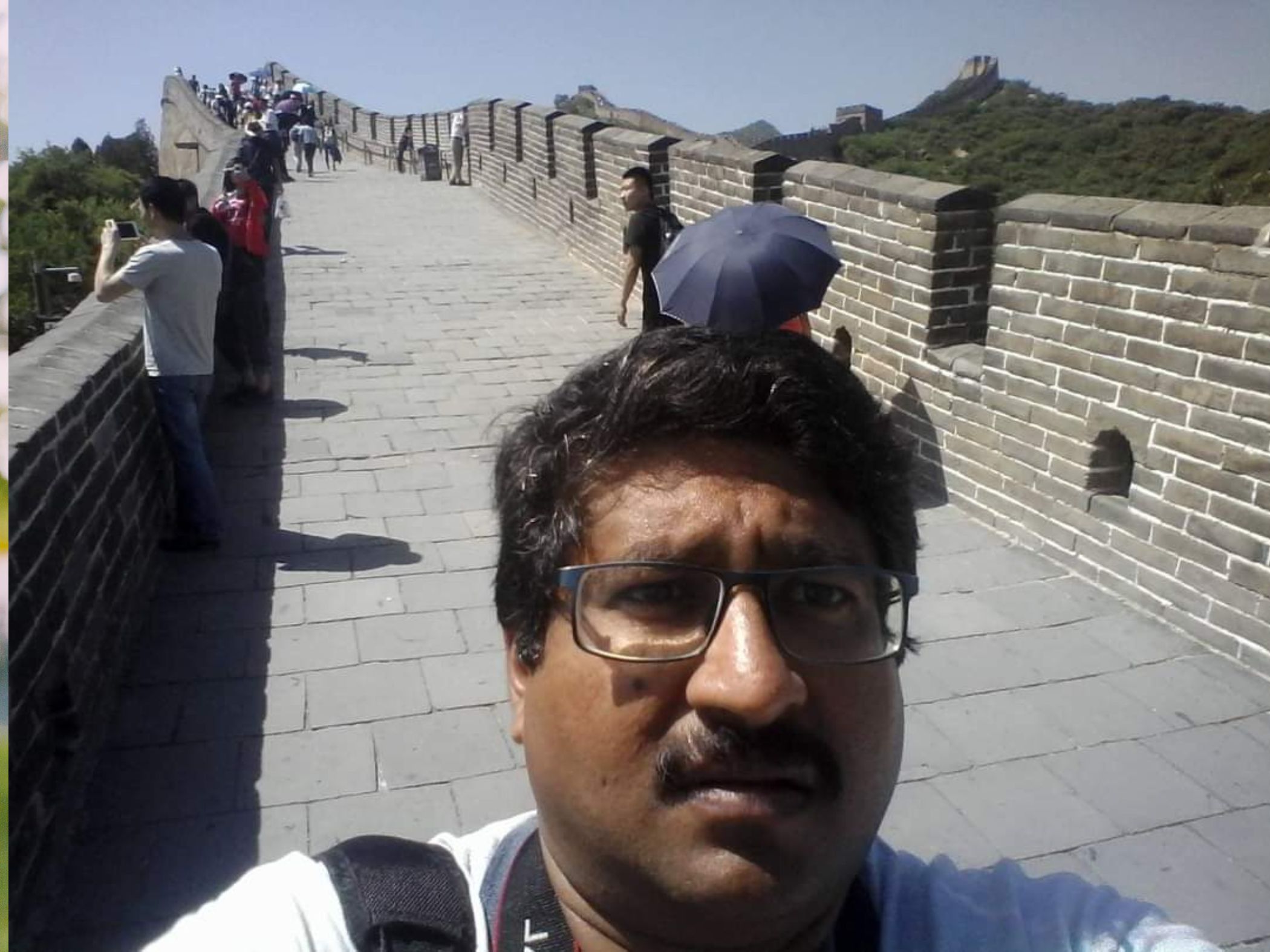 Mr. Mrinal Mohan